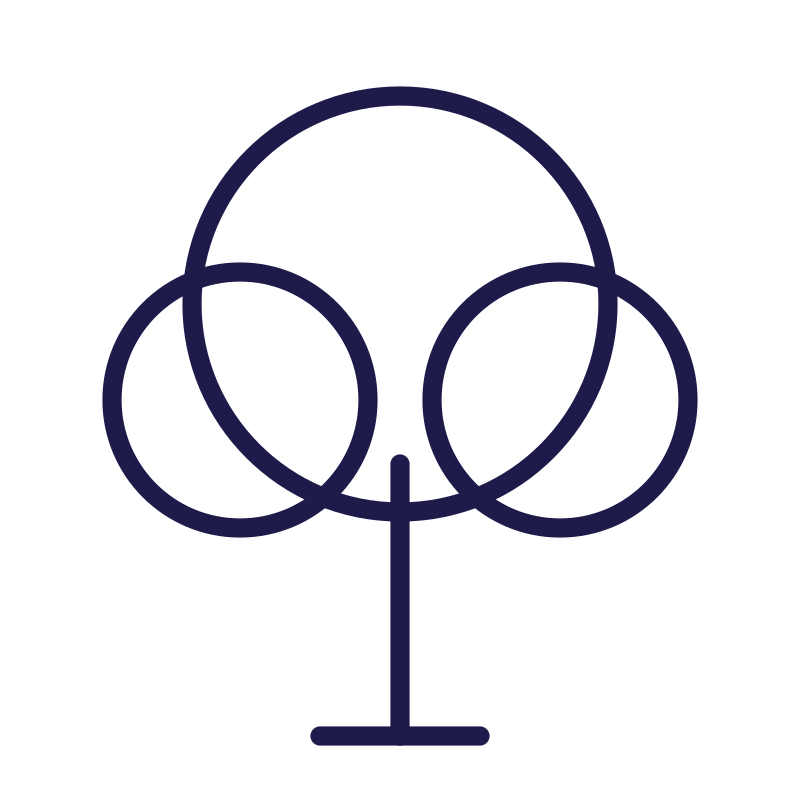 A tall tree with round leafy branches